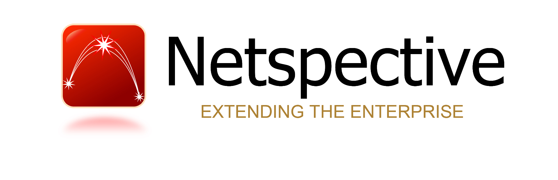 Netspective